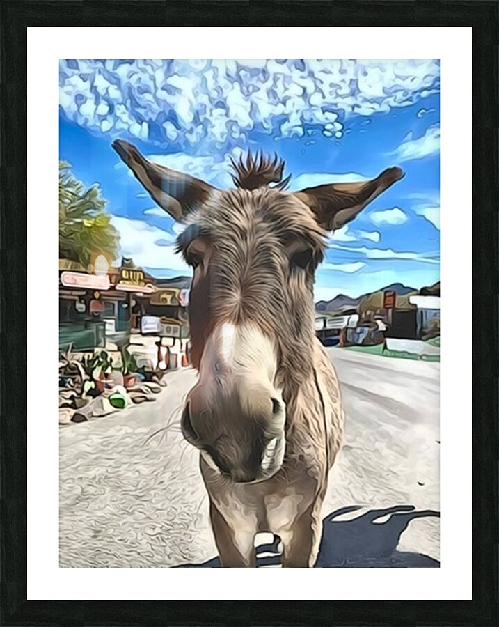 Oatman Donkey - abstract version Picture Frame print