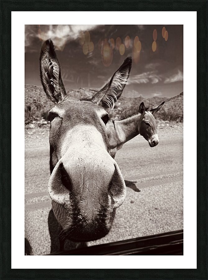 Welcome to Oatman Picture Frame print