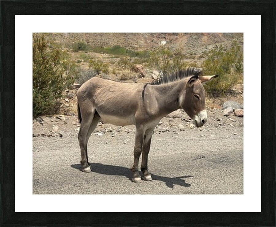 Heading to Oatman Picture Frame print