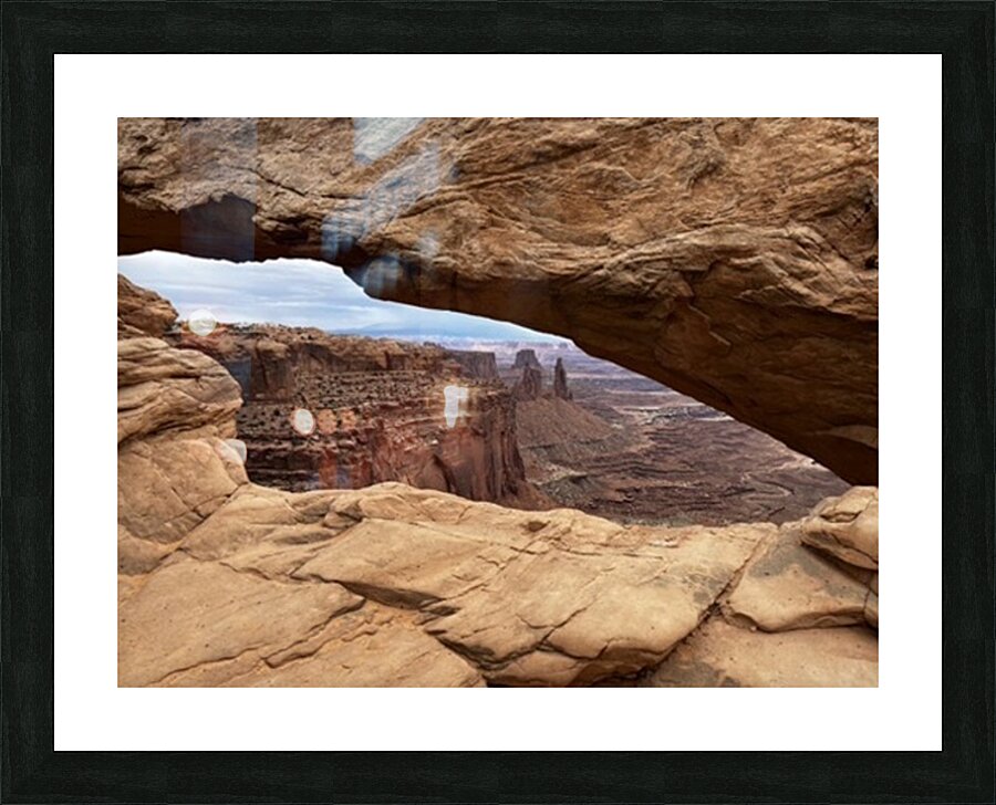 The land before time Picture Frame print