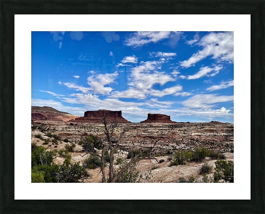 Monitor & Merrimack Rock - 2 Picture Frame print