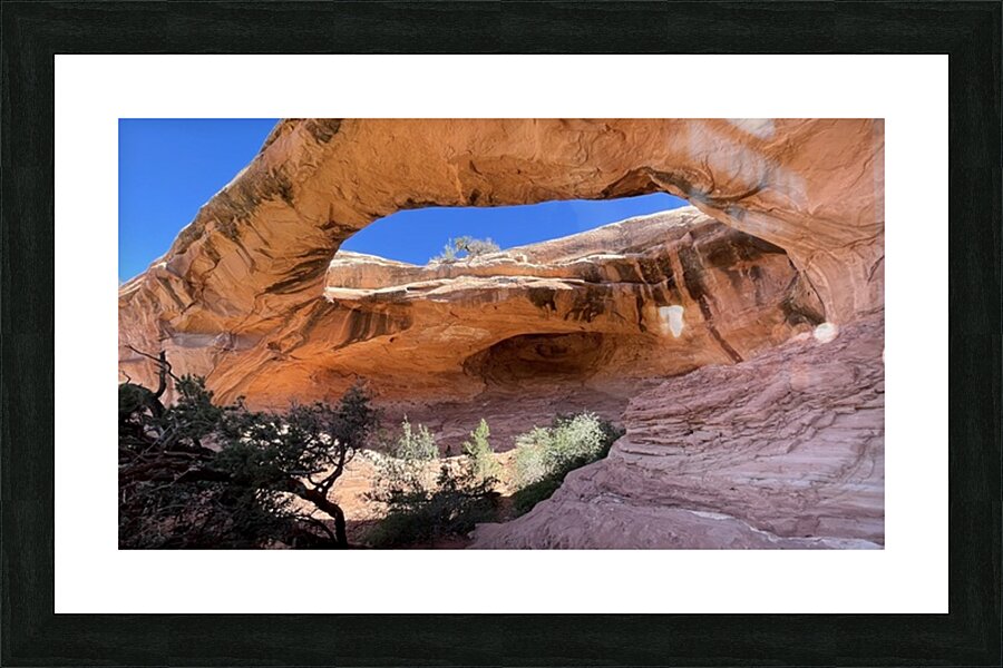 Gemini Twins Picture Frame print