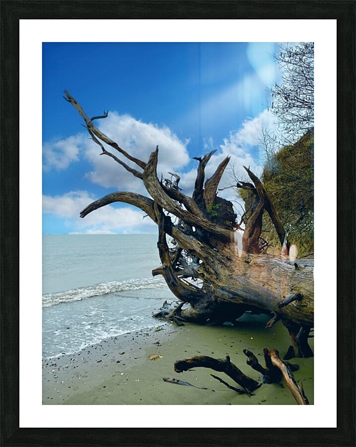 IMG 1646 Picture Frame print