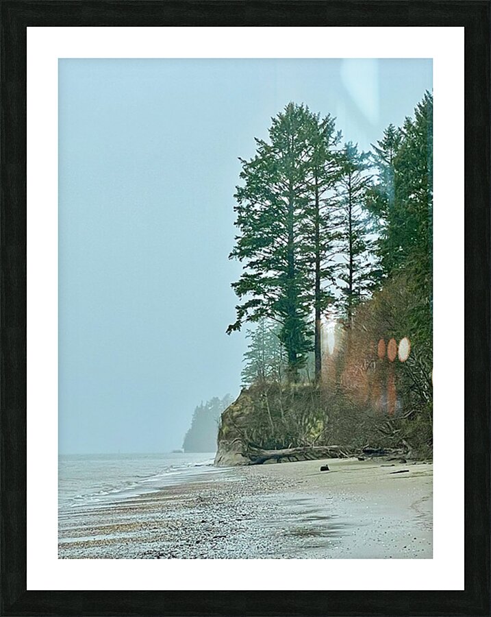 IMG 1639 Picture Frame print