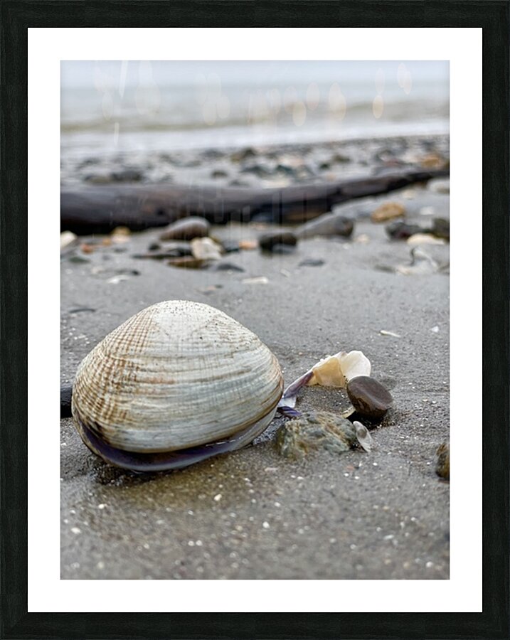 Keep Clam Picture Frame print