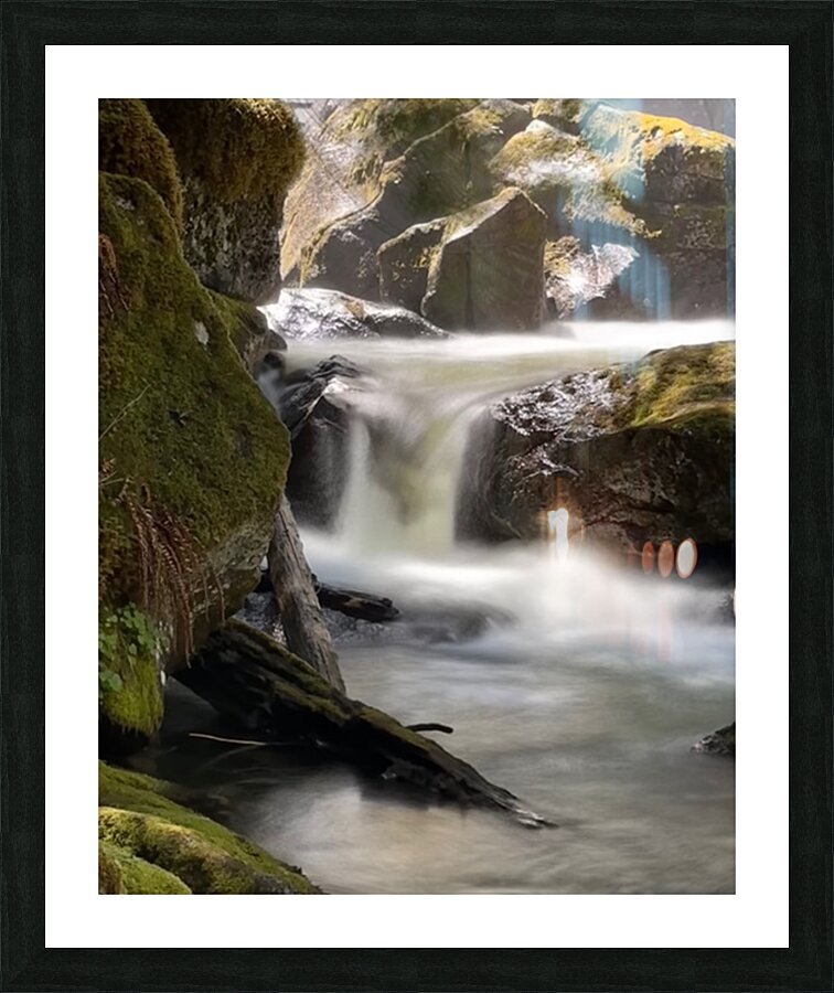 Forest Flow -2  Picture Frame print