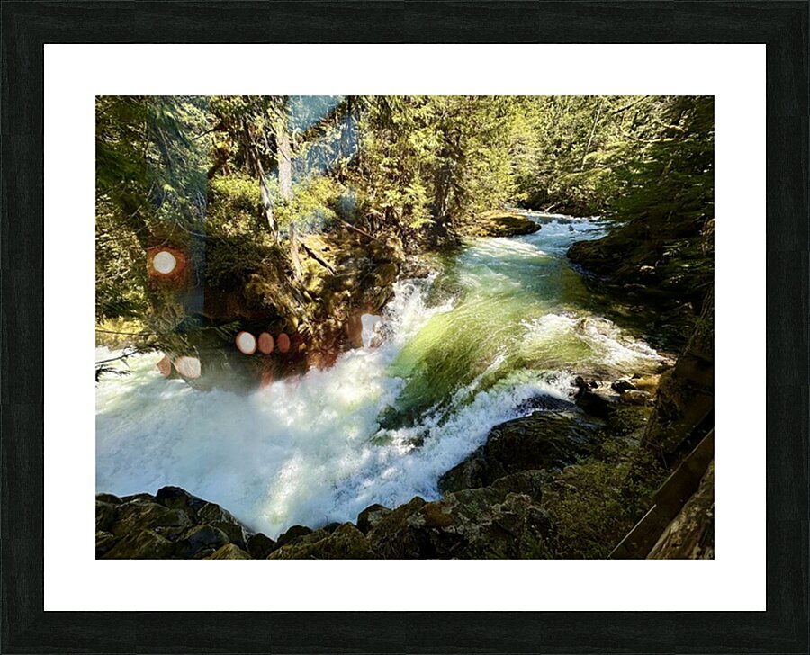 IMG 2459 Picture Frame print