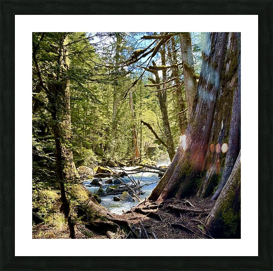 IMG 2451 Picture Frame print