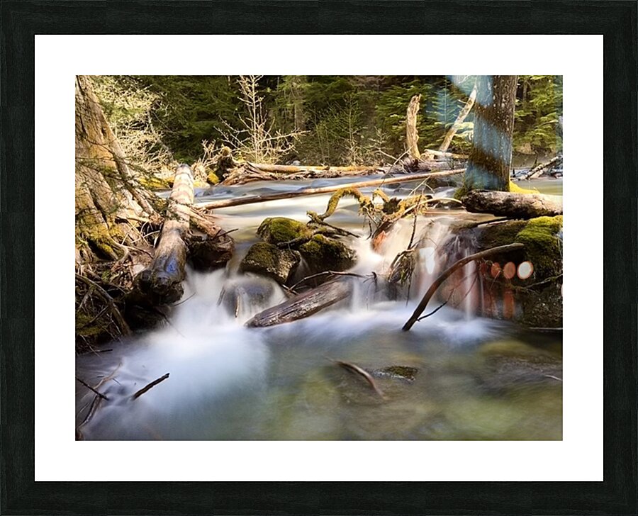 IMG 2445 Picture Frame print