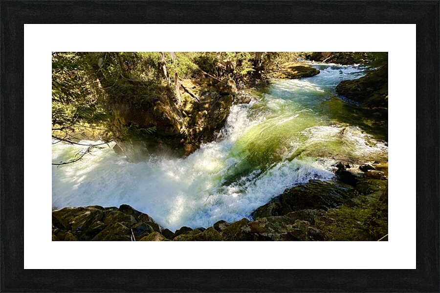 IMG 2460 Picture Frame print