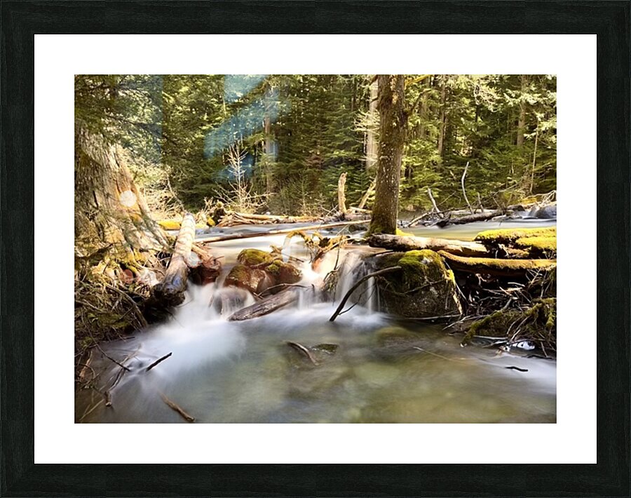 IMG 2442 Picture Frame print