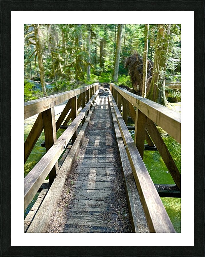 Forest Bridge Picture Frame print