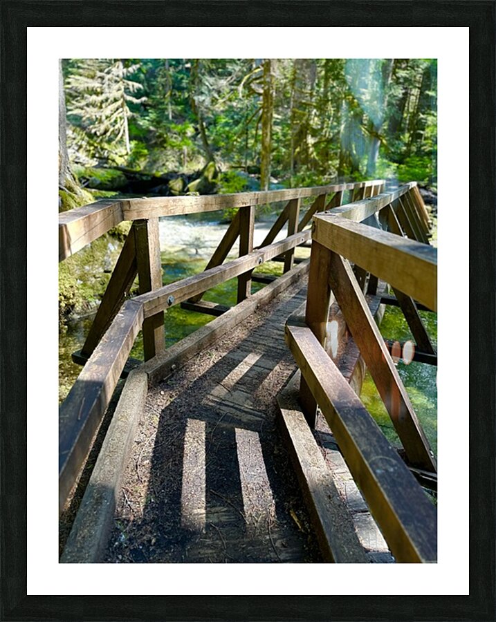 Bend in the Forest Picture Frame print