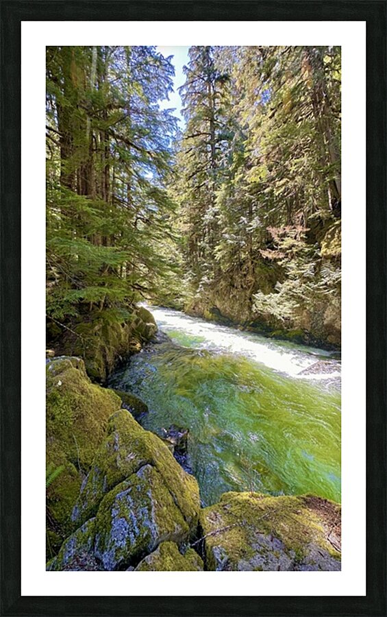 Beautiful…. Picture Frame print