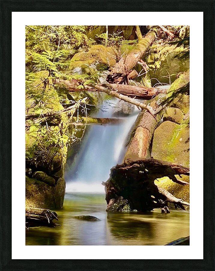 IMG 2510 Picture Frame print