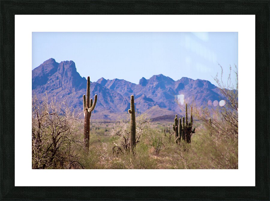 Desert landscape - Quartzsite Picture Frame print