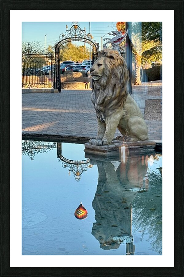 Reflection at the gate -1 Picture Frame print