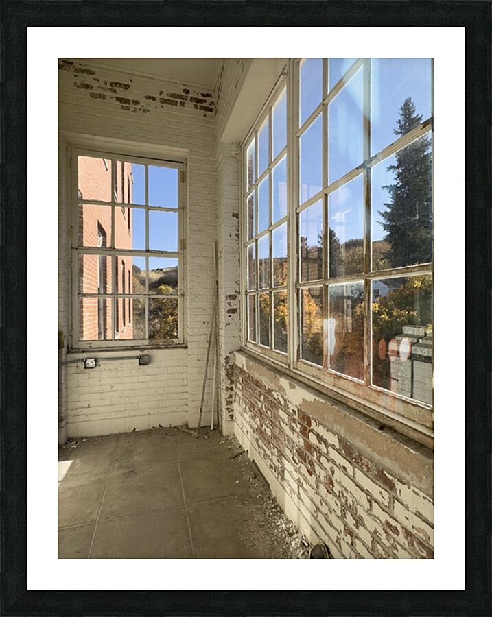 IMG 3402 Picture Frame print