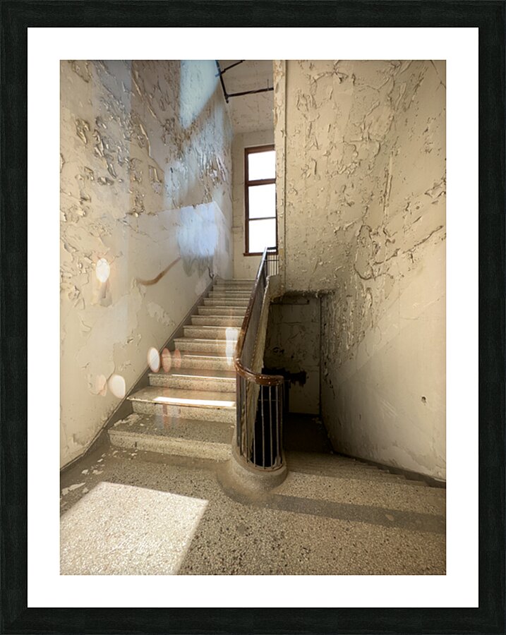 IMG 3400 Picture Frame print