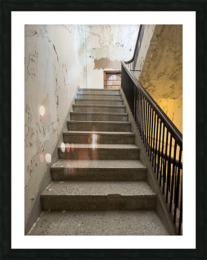 IMG 3404 Picture Frame print