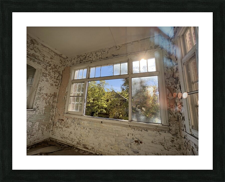 IMG 3399 Picture Frame print