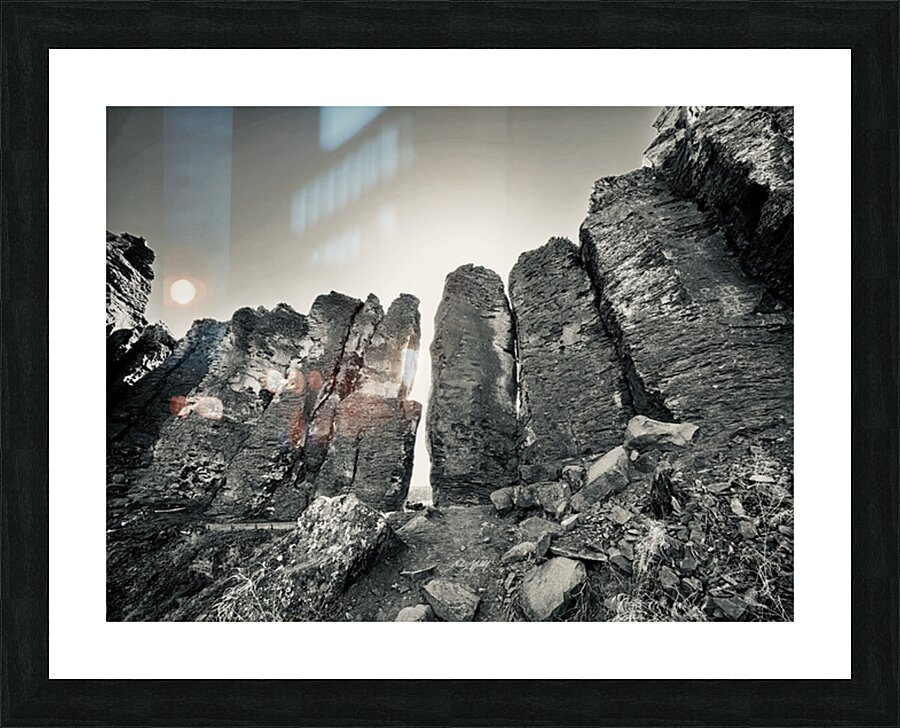 The Feathers Picture Frame print