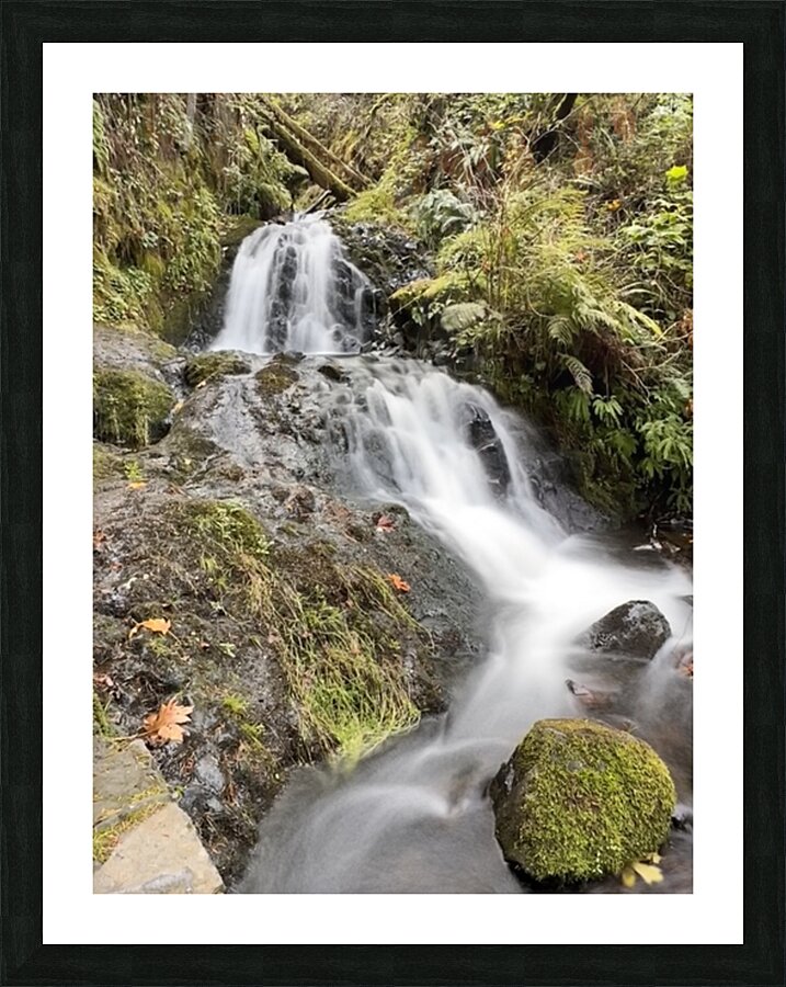 Oregon Waterfall Picture Frame print