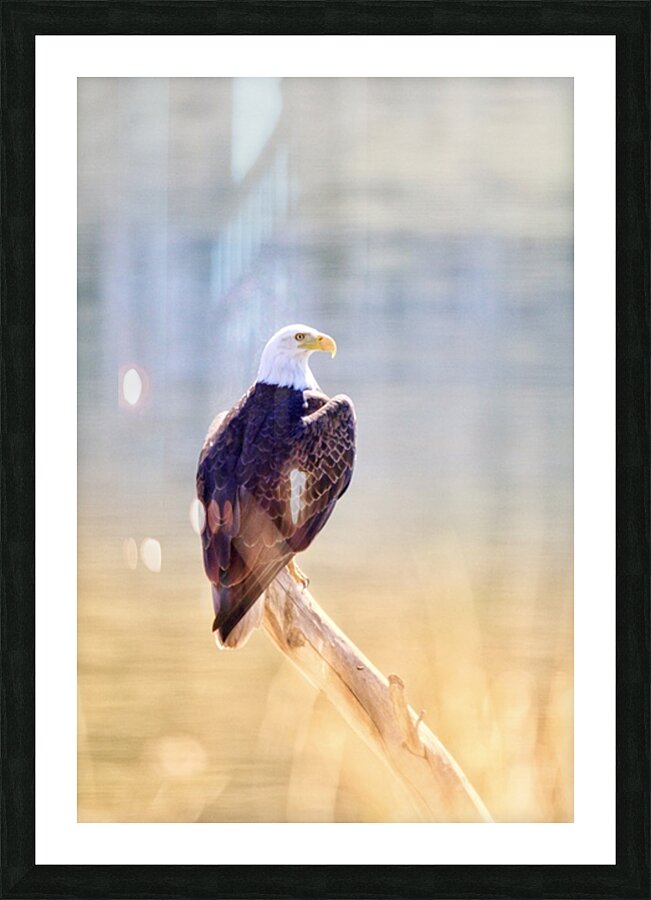 On Duty Picture Frame print