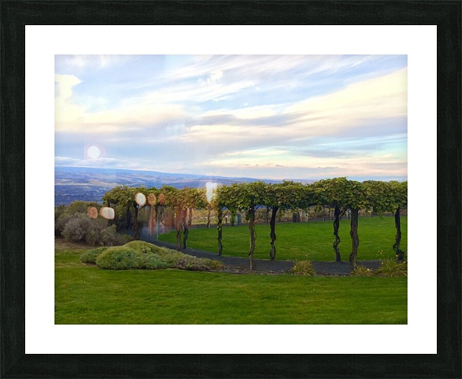 The piazza at Cave B Winery Picture Frame print