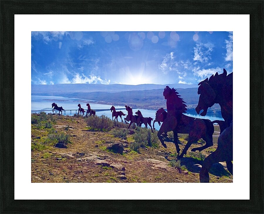 Wild Horses Monument Picture Frame print