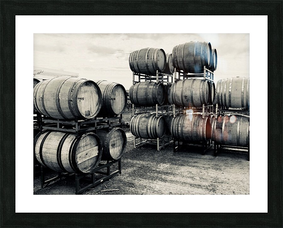 Barrels on the Crushpad Picture Frame print