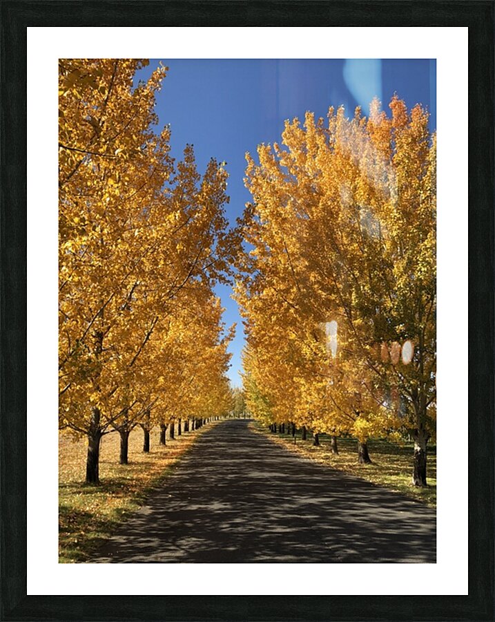 The Road to Cave B Picture Frame print