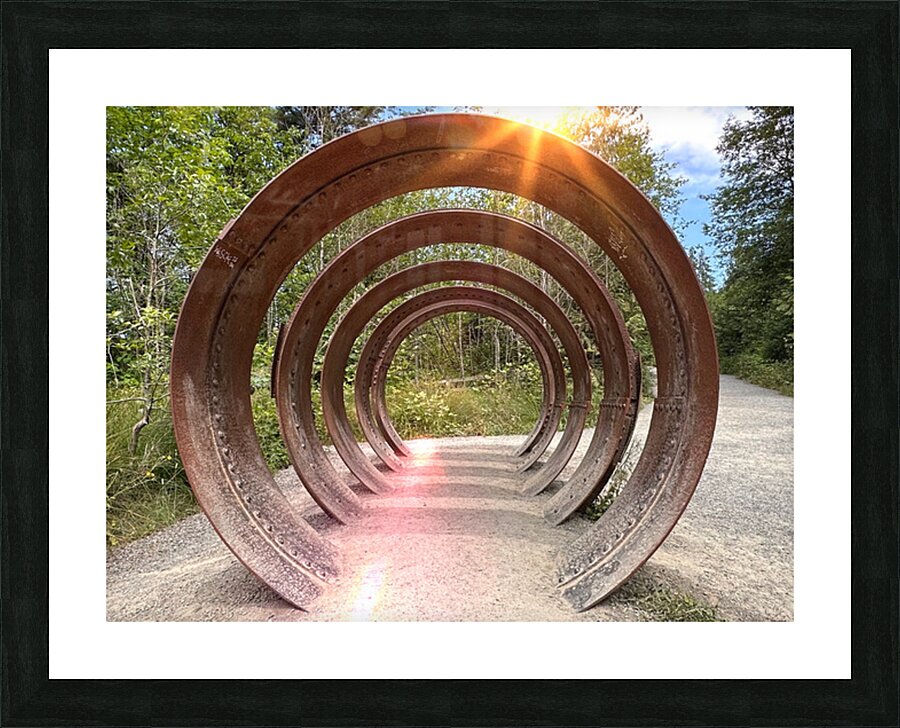 IMG 1694 Picture Frame print