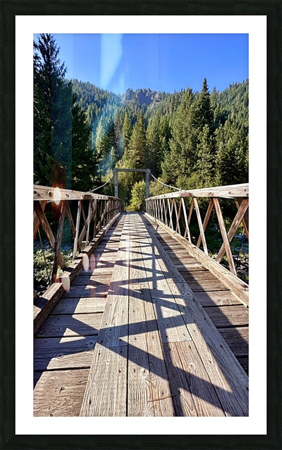 IMG 4082 Picture Frame print