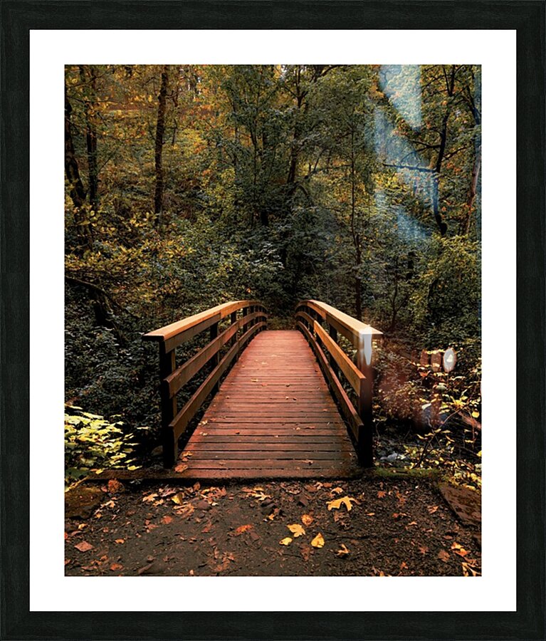 The path less traveled -vertical Picture Frame print