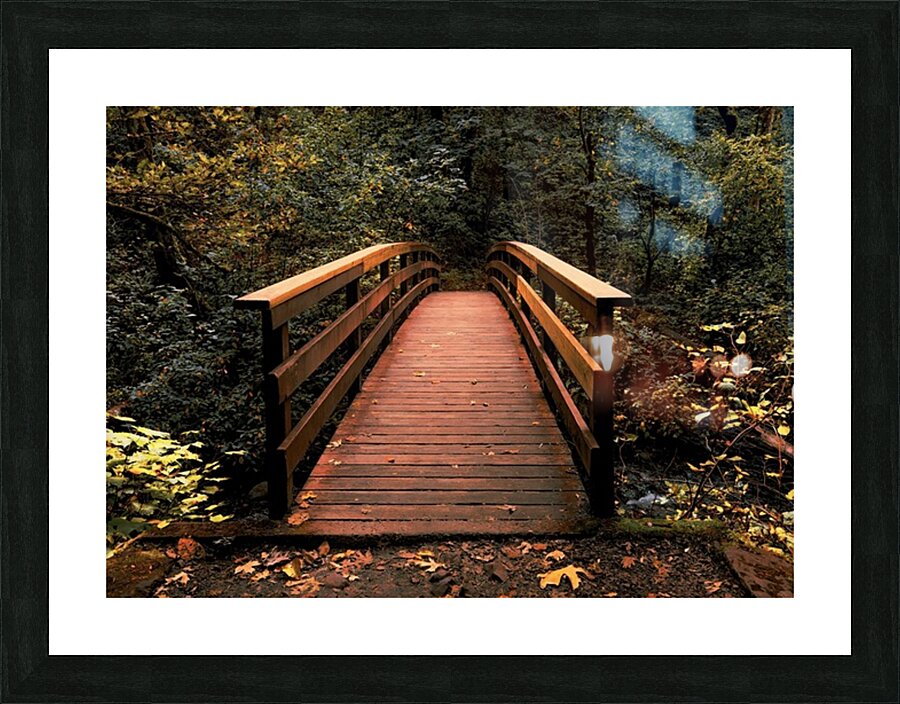 The path less traveled Picture Frame print