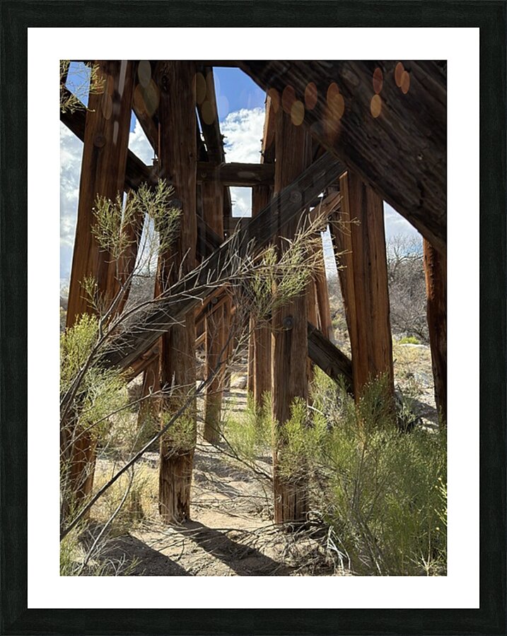 Under the Trestle Picture Frame print