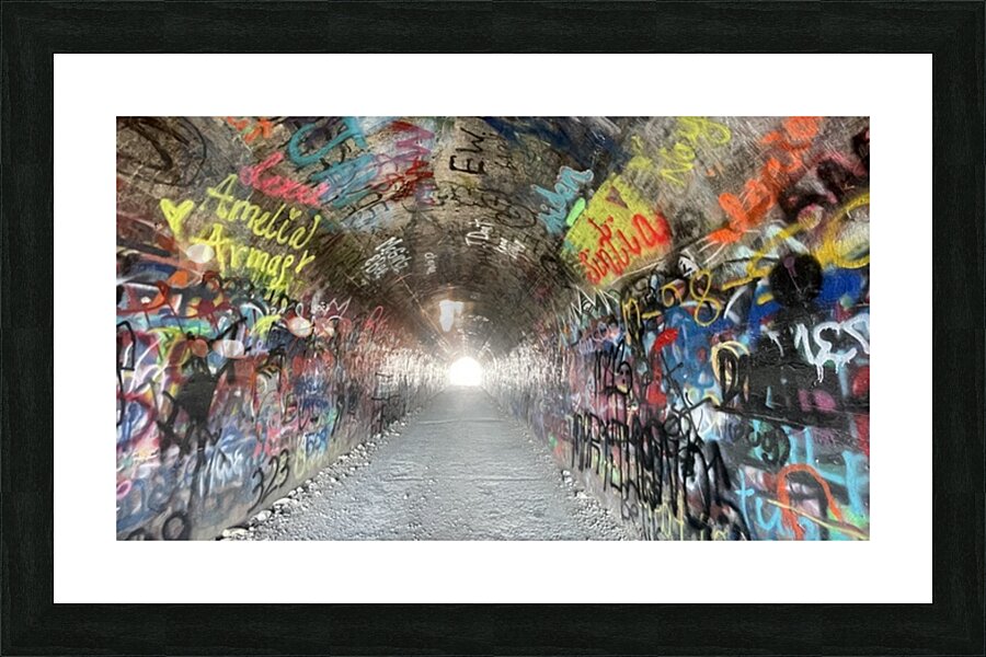 Baird Springs Tunnel -horizontal Picture Frame print