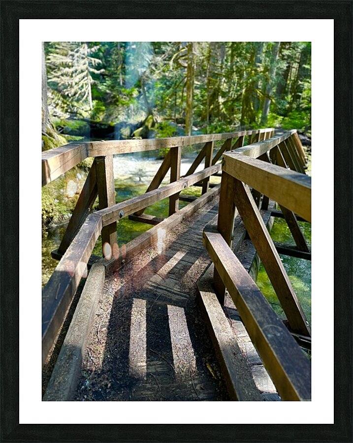 Bend in the Forest Picture Frame print