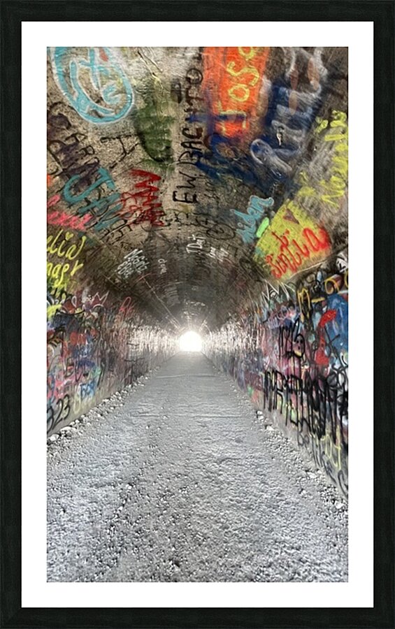 Baird Springs Tunnel -vertical Picture Frame print