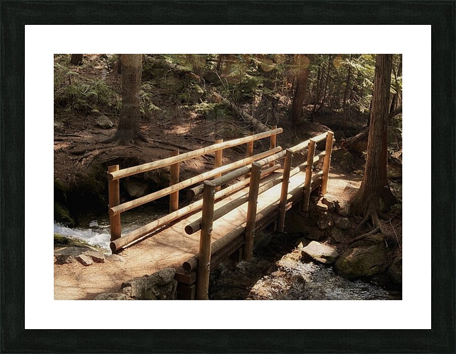 Forest Bridge Picture Frame print