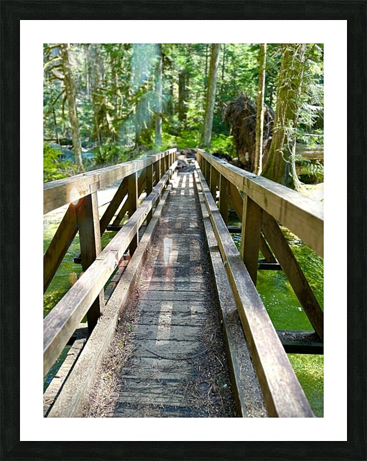 In To the Woods Picture Frame print