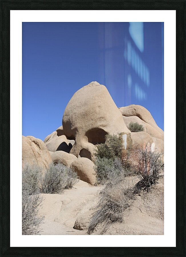 Skull Rock Joshua Tree National Park Picture Frame print