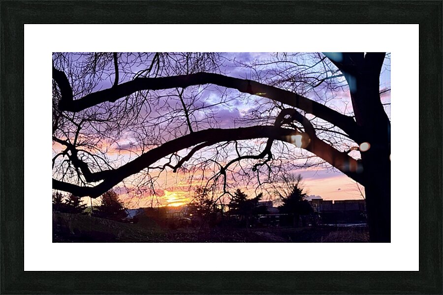 Purple and Orange Picture Frame print