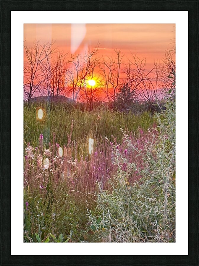 Sunset on Silica Road Picture Frame print