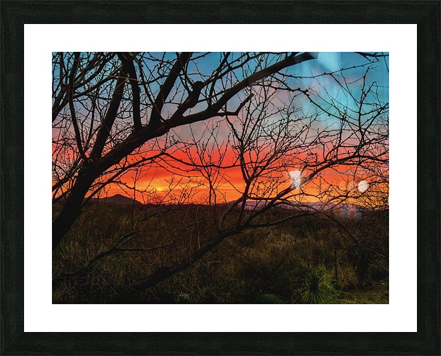 Colors of the Desert Picture Frame print