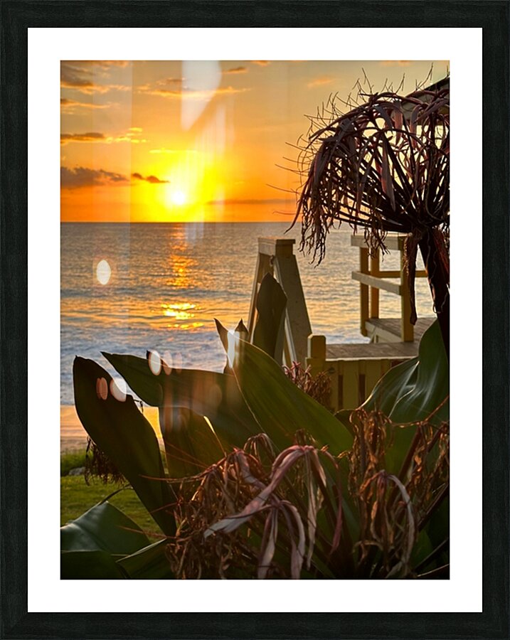 Beauty of Maui Picture Frame print
