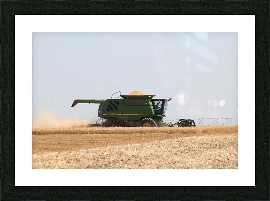 Wheat Harvest Picture Frame print