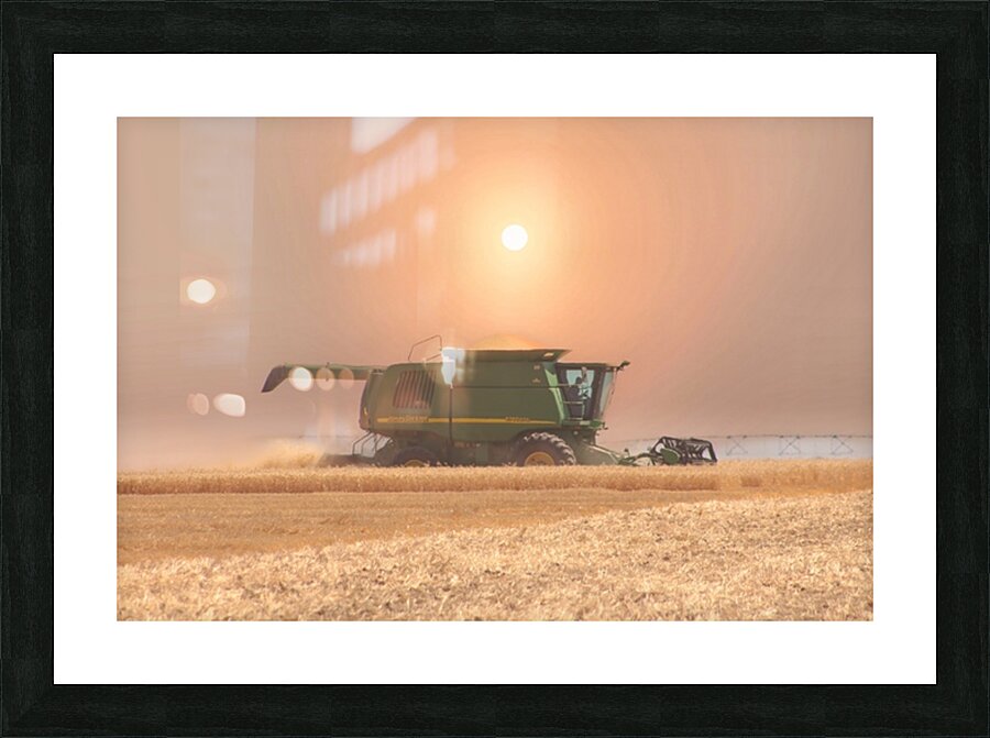 Wheat Havest Sundown Picture Frame print