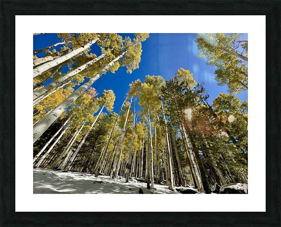 IMG 9874 Picture Frame print